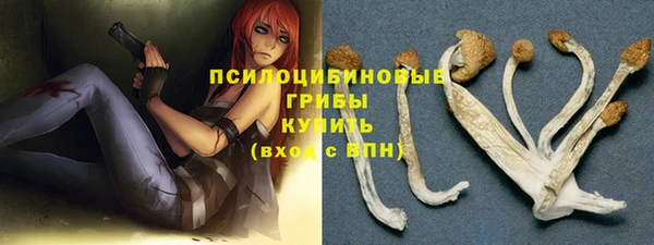 спиды Новокубанск