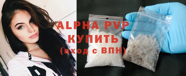 стафф Новозыбков