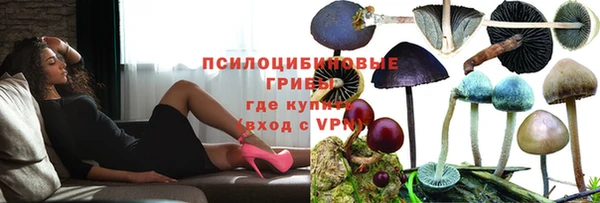 стафф Новозыбков