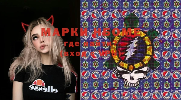 стафф Новозыбков
