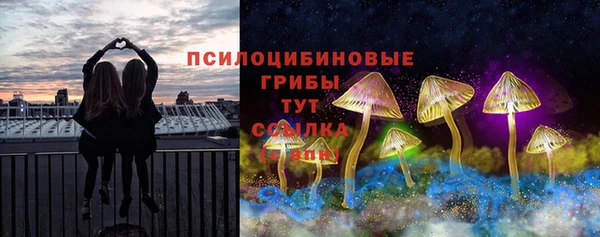 спиды Новокубанск