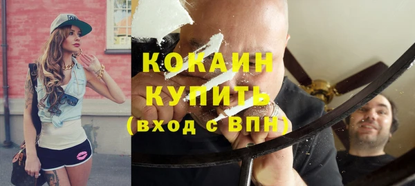 стафф Новозыбков