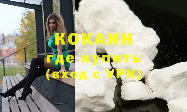 стафф Новозыбков