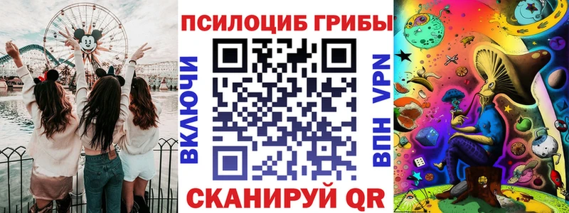 Галлюциногенные грибы Psilocybe  как найти   Куса 